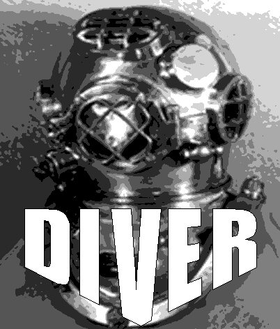 bands_diver_logo.jpg