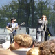 Louis XIV at Lollapalooza (thumbnail)